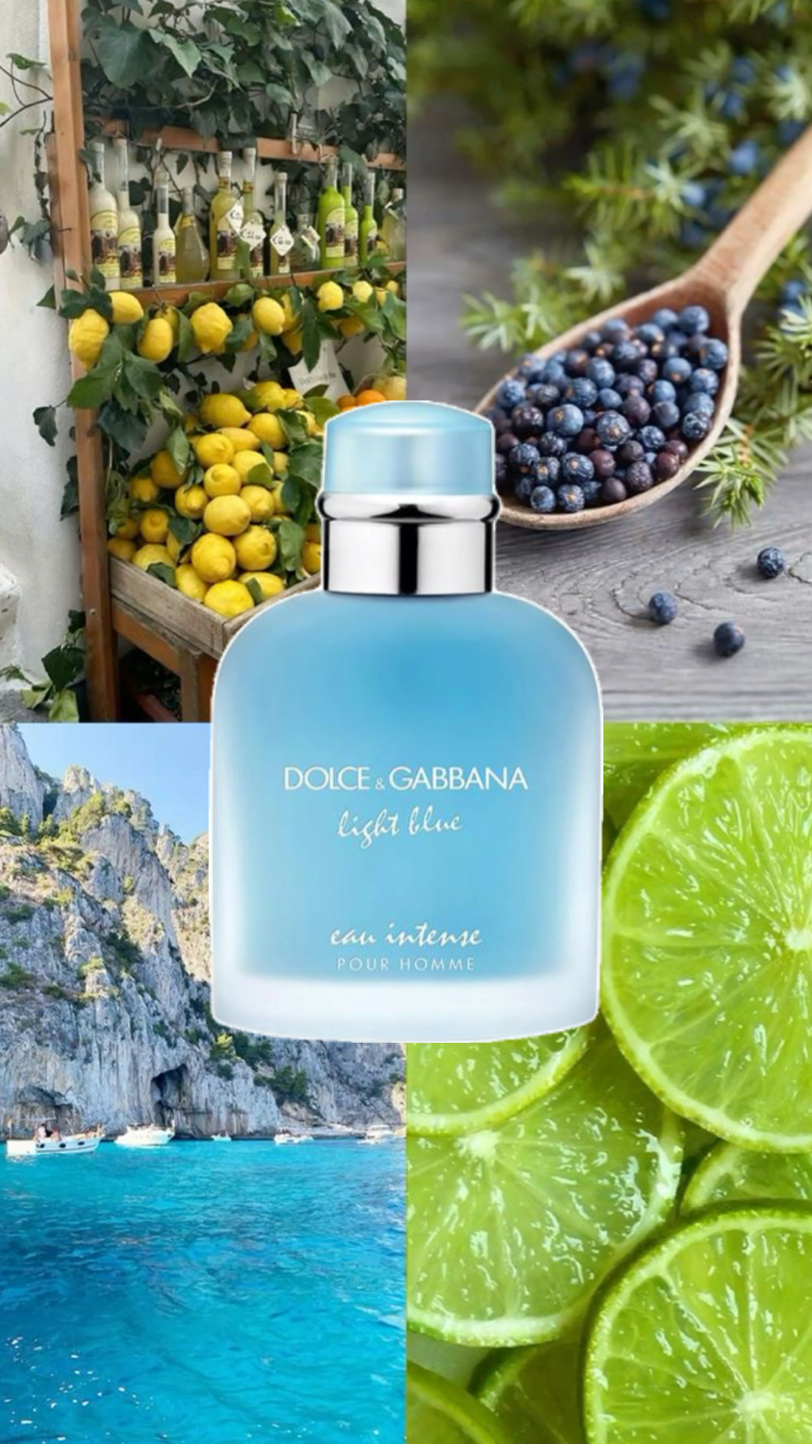 Dolce & Gabbana Light Blue Eau Intense Pour Homme EDP (2025) + Obsequio De Regalo - Imagen 4